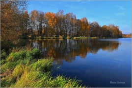 <p>Šluknov</p>